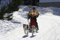 San Bernardino 2008